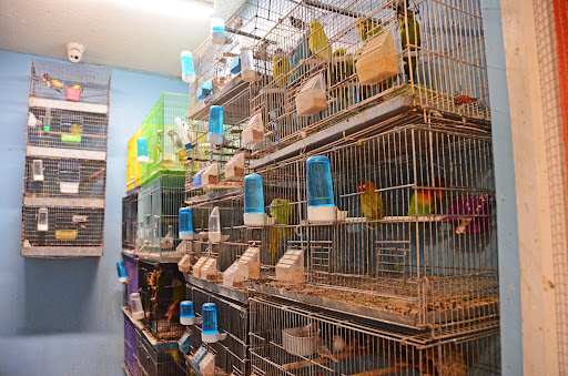 Paraiso De Aves Pet store