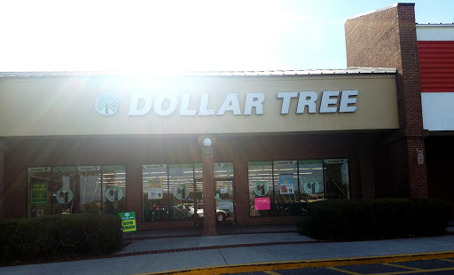 Dollar Store «Dollar Tree», reviews and photos, 2464 W Brandon Blvd, Brandon, FL 33511, USA