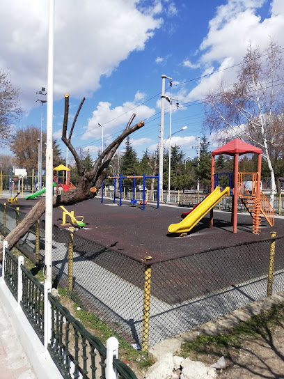 Basketbol Sahası ve Çocuk Parkı