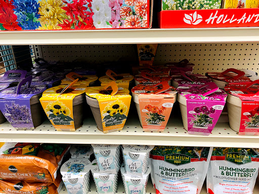 Discount Store «Big Lots», reviews and photos, 751 Good Homes Rd, Orlando, FL 32818, USA