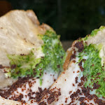 Photo n°1 de l'avis de Gaëlle. fait le 23/02/2023 à 13:47 sur le  Pepe In Grani à Caiazzo