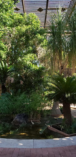 Museum «Rosson House Museum at Heritage Square», reviews and photos, 113 N 6th St, Phoenix, AZ 85004, USA