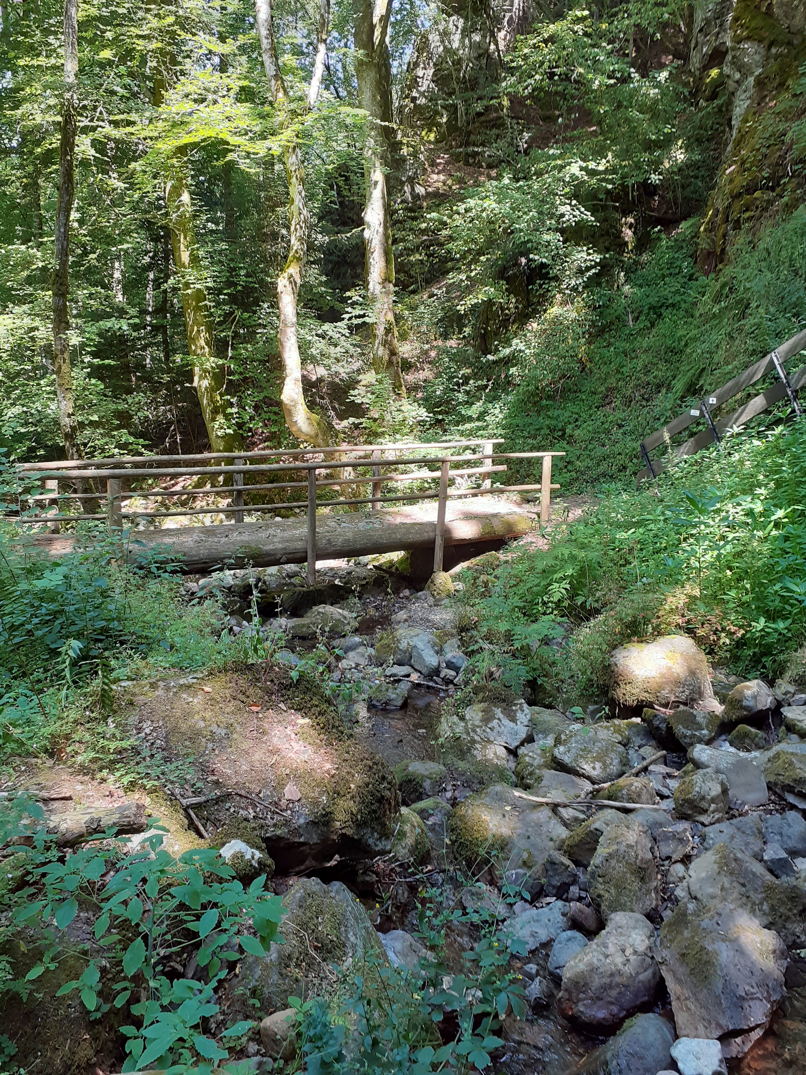 Photo n° 2 de l'avis de sybille.e fait le 26/07/2019 à 09:33