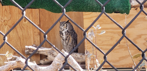 Zoo «Heritage Park Zoological Sanctuary», reviews and photos, 1403 Heritage Park Rd, Prescott, AZ 86301, USA