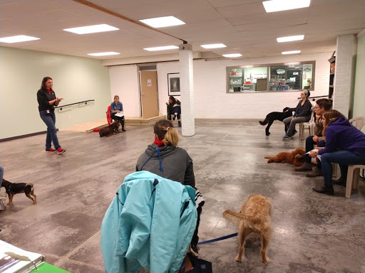 Dog Trainer «Mad 4 My Dog», reviews and photos, 702 E Temperance St, Ellettsville, IN 47429, USA