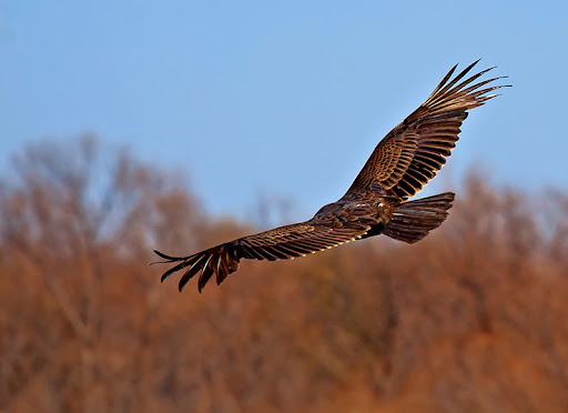 Park «Trophy Club Park», reviews and photos, 2885 Trophy Park Dr, Trophy Club, TX 76262, USA