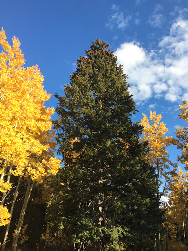 Print Shop «Elevate Printing», reviews and photos, 2500 Decker Lake Blvd #7, West Valley City, UT 84119, USA