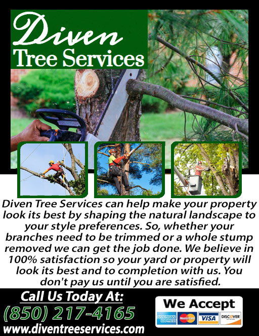 Diven Tree Services