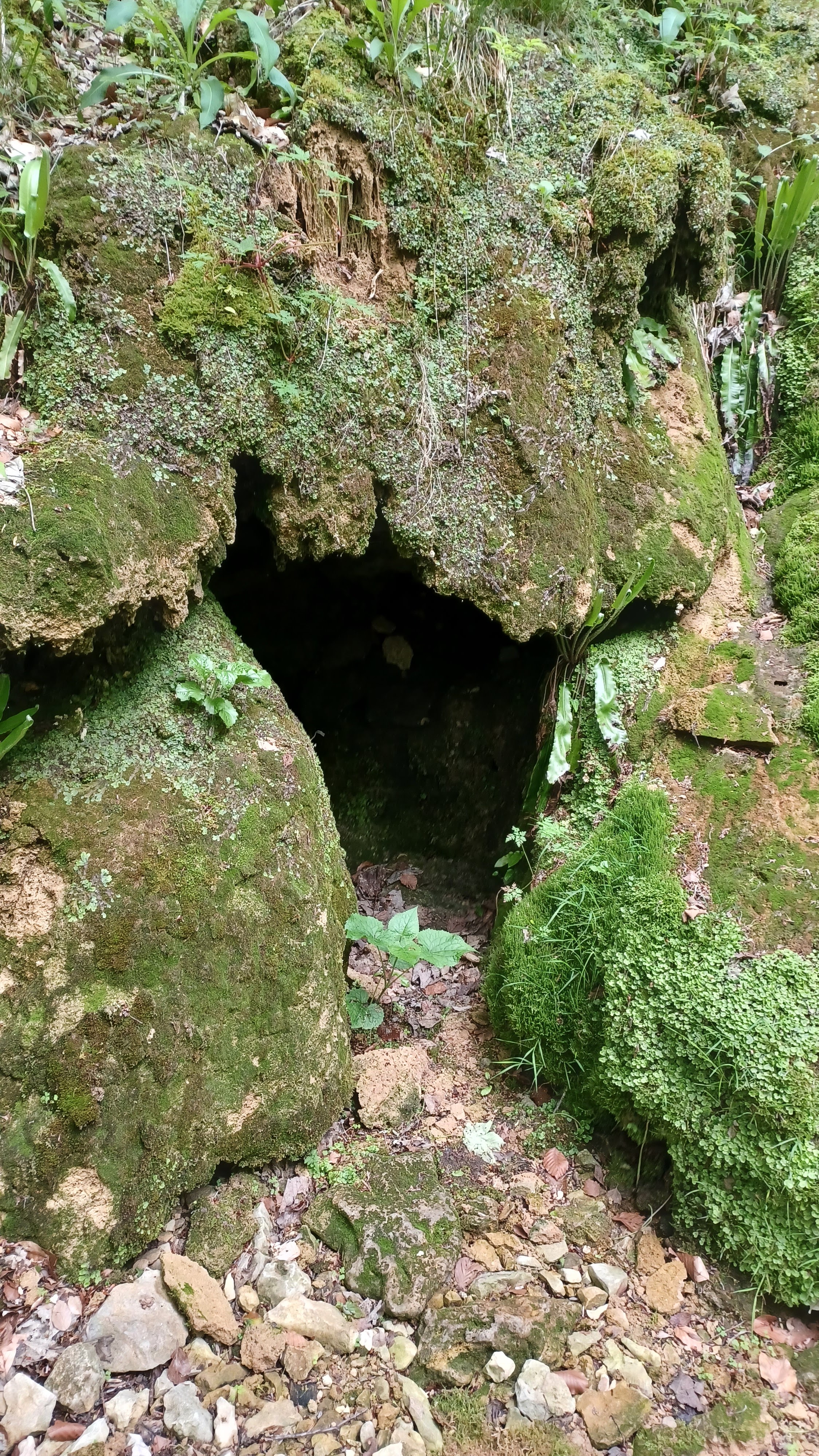 Photo n° 8 de l'avis de Françoise.I fait le 27/05/2023 à 15:56