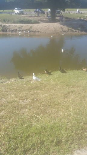 Public Swimming Pool «Splashville», reviews and photos, 850 S Graham Ave, Stephenville, TX 76401, USA