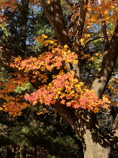 Golf Course «Ankeny Golf and Country Club», reviews and photos, 314 SW Irvinedale Dr, Ankeny, IA 50023, USA