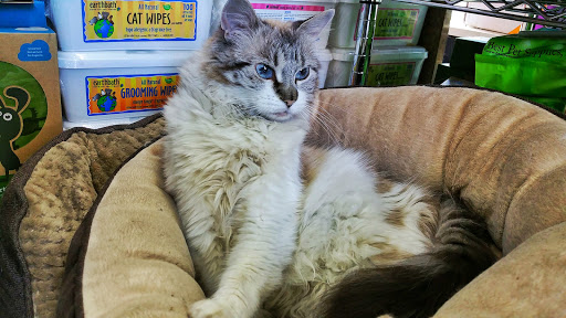 Pet Supply Store «Pet Island», reviews and photos, 10-50 Jackson Ave, Long Island City, NY 11101, USA