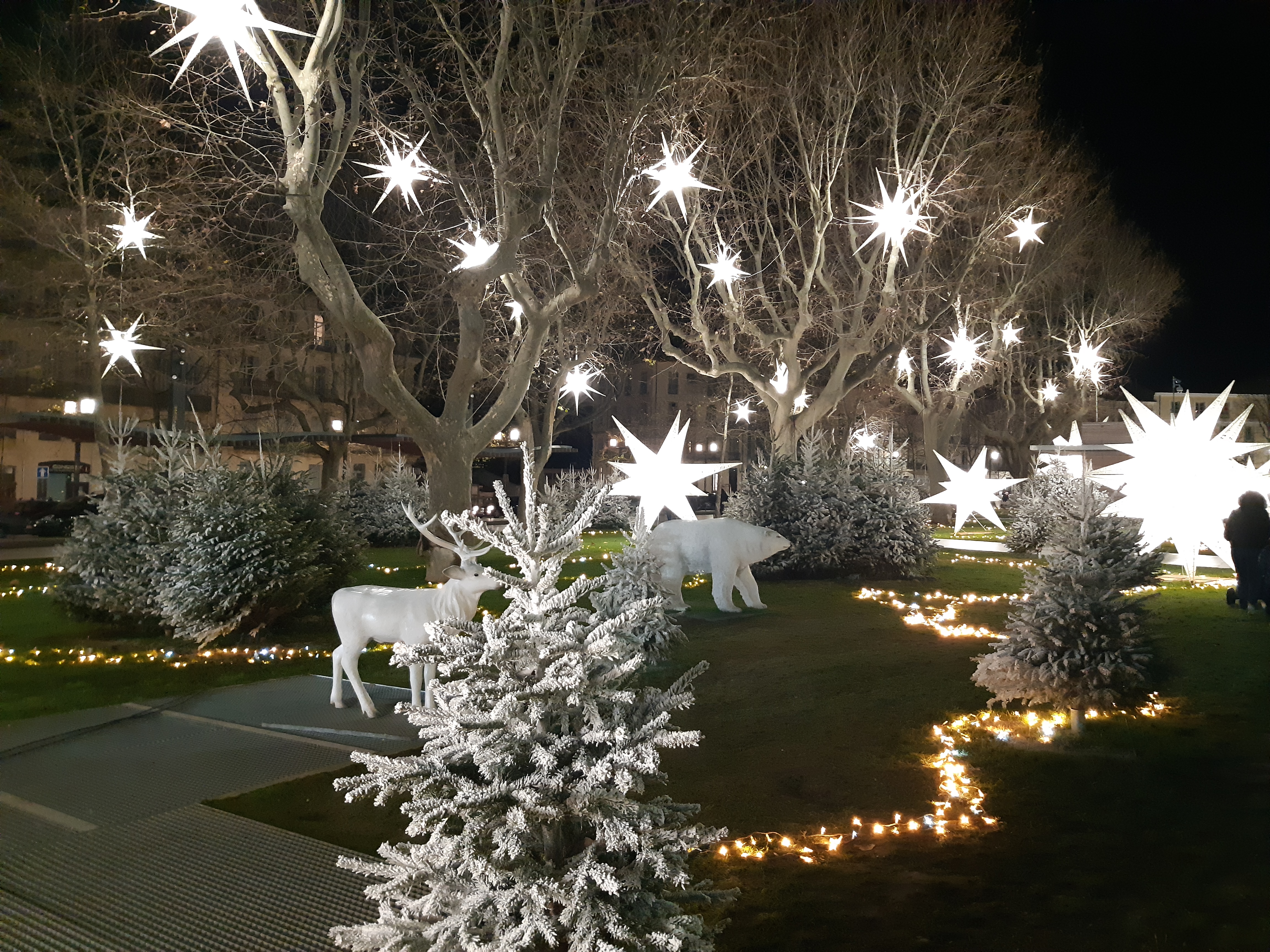 Photo n° 10 de l'avis de laure.o fait le 30/12/2020 à 19:02
