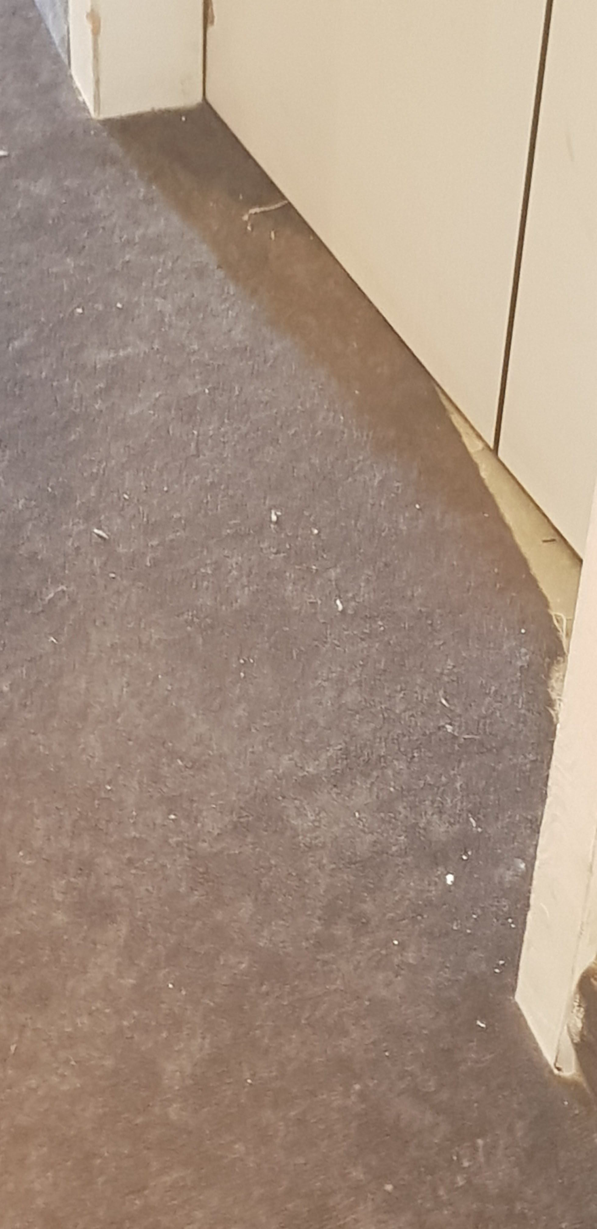 Photo n° 1 de l'avis de Delphine.o fait le 22/02/2020 à 13:42
