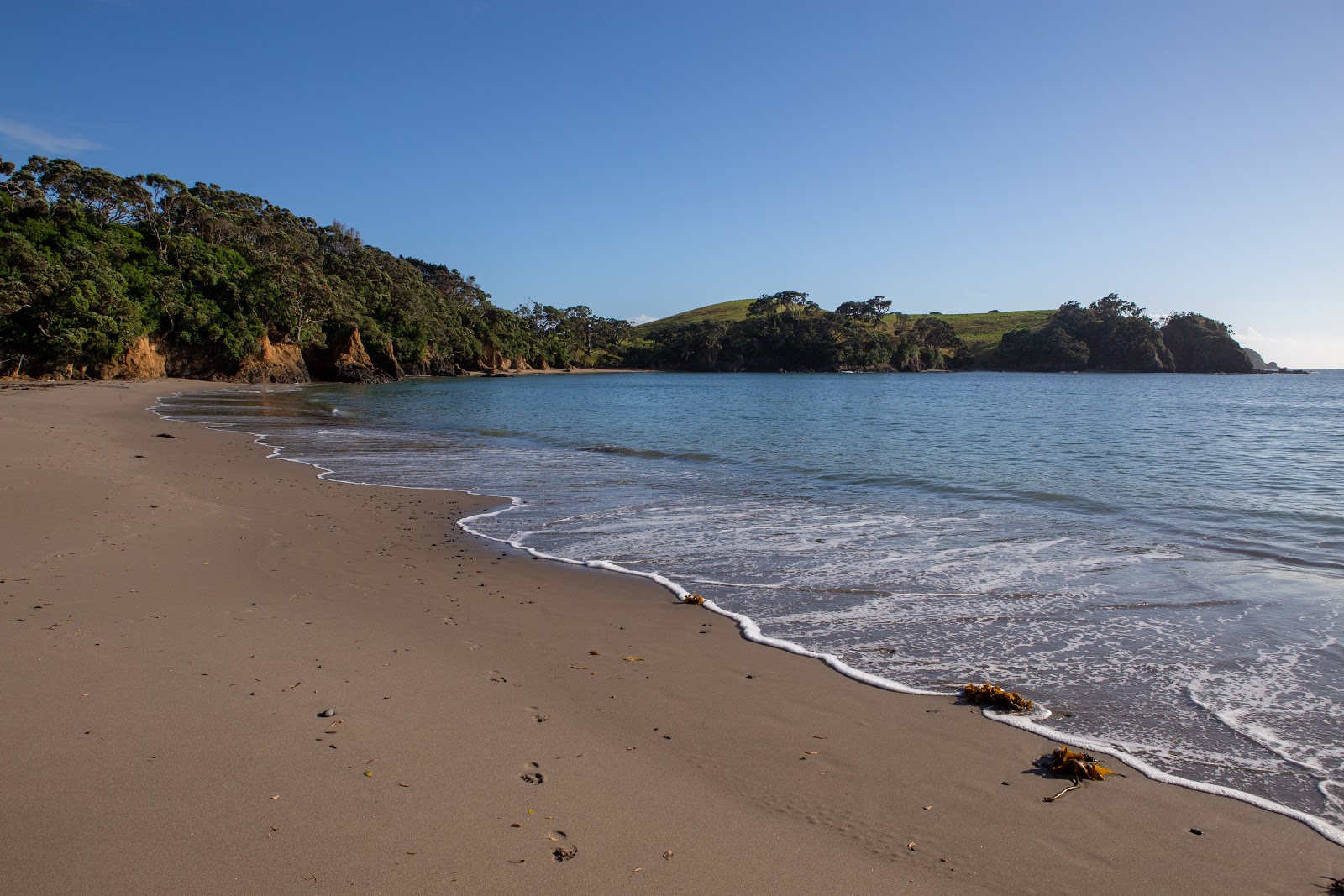 Foto di Huitau Bay Beach con baia media