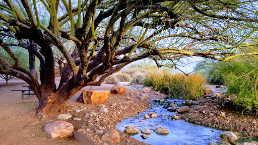 National Reserve «Riparian Preserve at Water Ranch», reviews and photos, 2757 E Guadalupe Rd, Gilbert, AZ 85234, USA