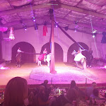 Photo n° 10 de l'avis de Carla.a fait le 01/01/2020 à 22:25 pour Cabaret Equestre de Camargue à Le Grau-du-Roi
