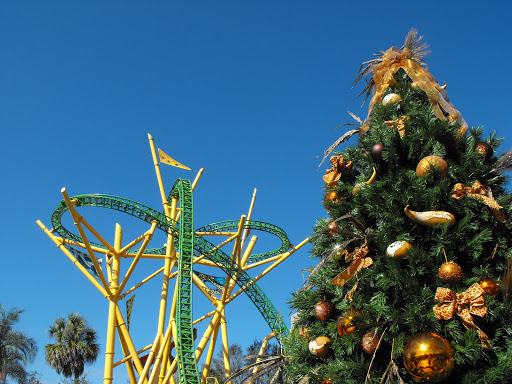 Roller Coaster «Cheetah Hunt», reviews and photos, 10165 N Malcolm McKinley Dr, Tampa, FL 33612, USA