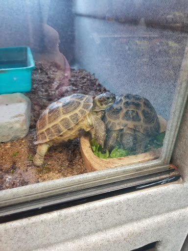 Pet Store «V.I. Pets», reviews and photos, 11975 E Lakewood Blvd, Holland, MI 49424, USA