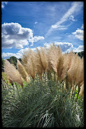 Photo n°2 de Le P'tit Bidache à Bidache ()