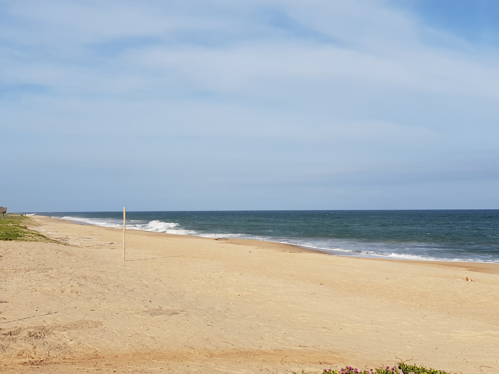 Zdjęcie Whiskey Beach z poziomem czystości wysoki