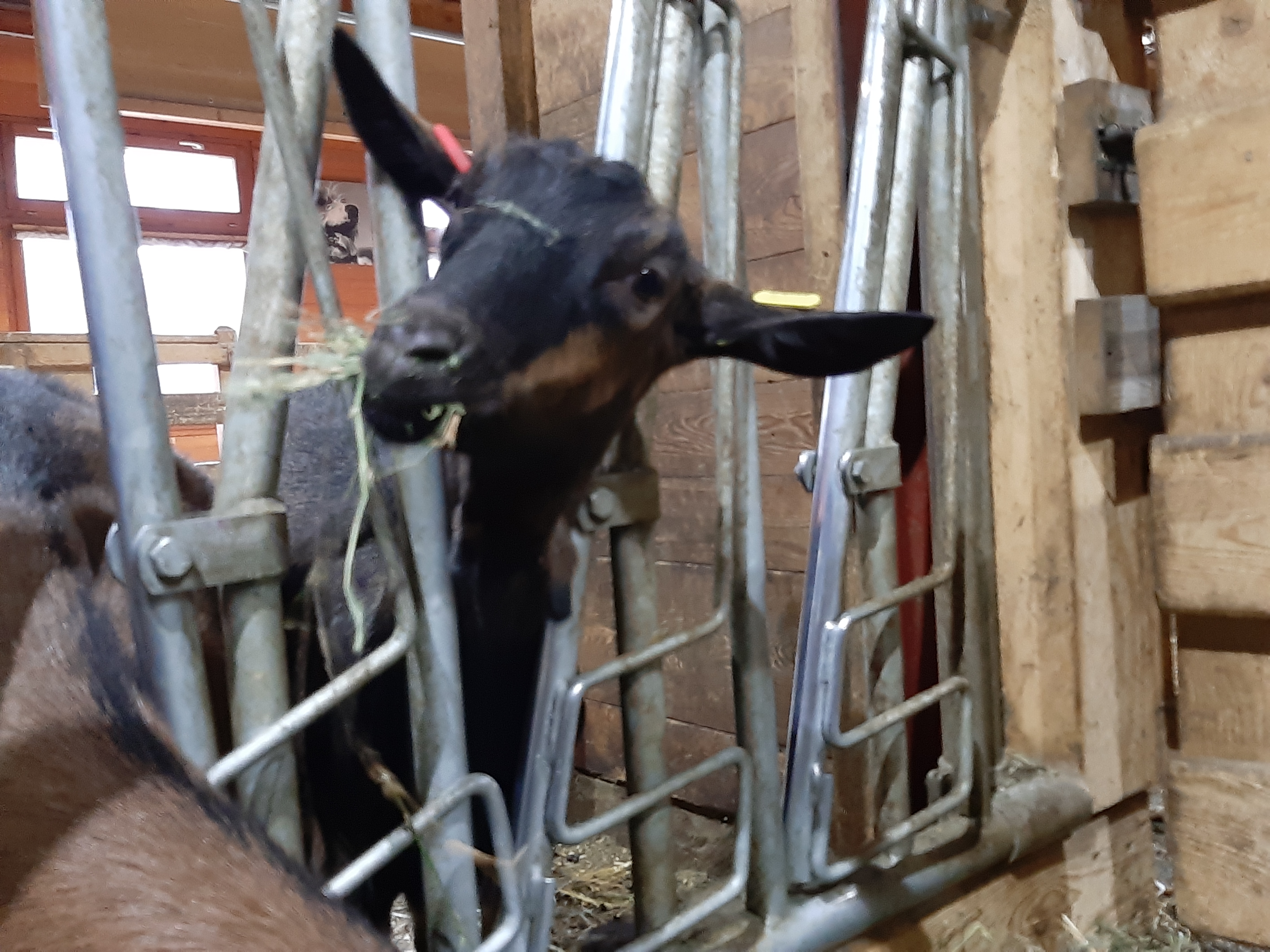 Photo n° 1 de l'avis de Fanny.a fait le 28/03/2019 à 18:44