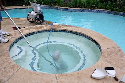 Clear Blue Water Pools Service and Repair