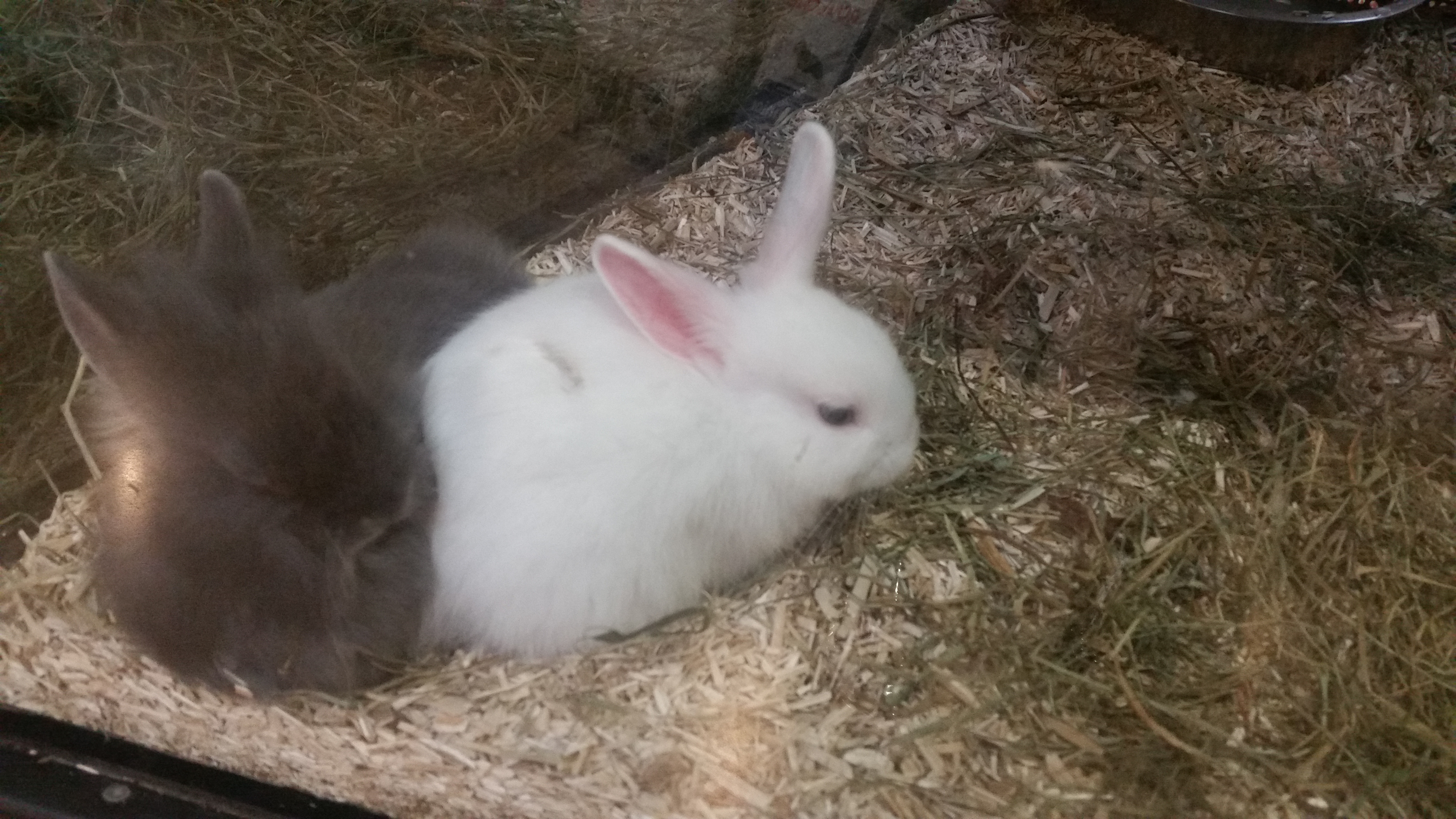 Photo n° 4 de l'avis de Mathilda. fait le 22/04/2017 à 15:15