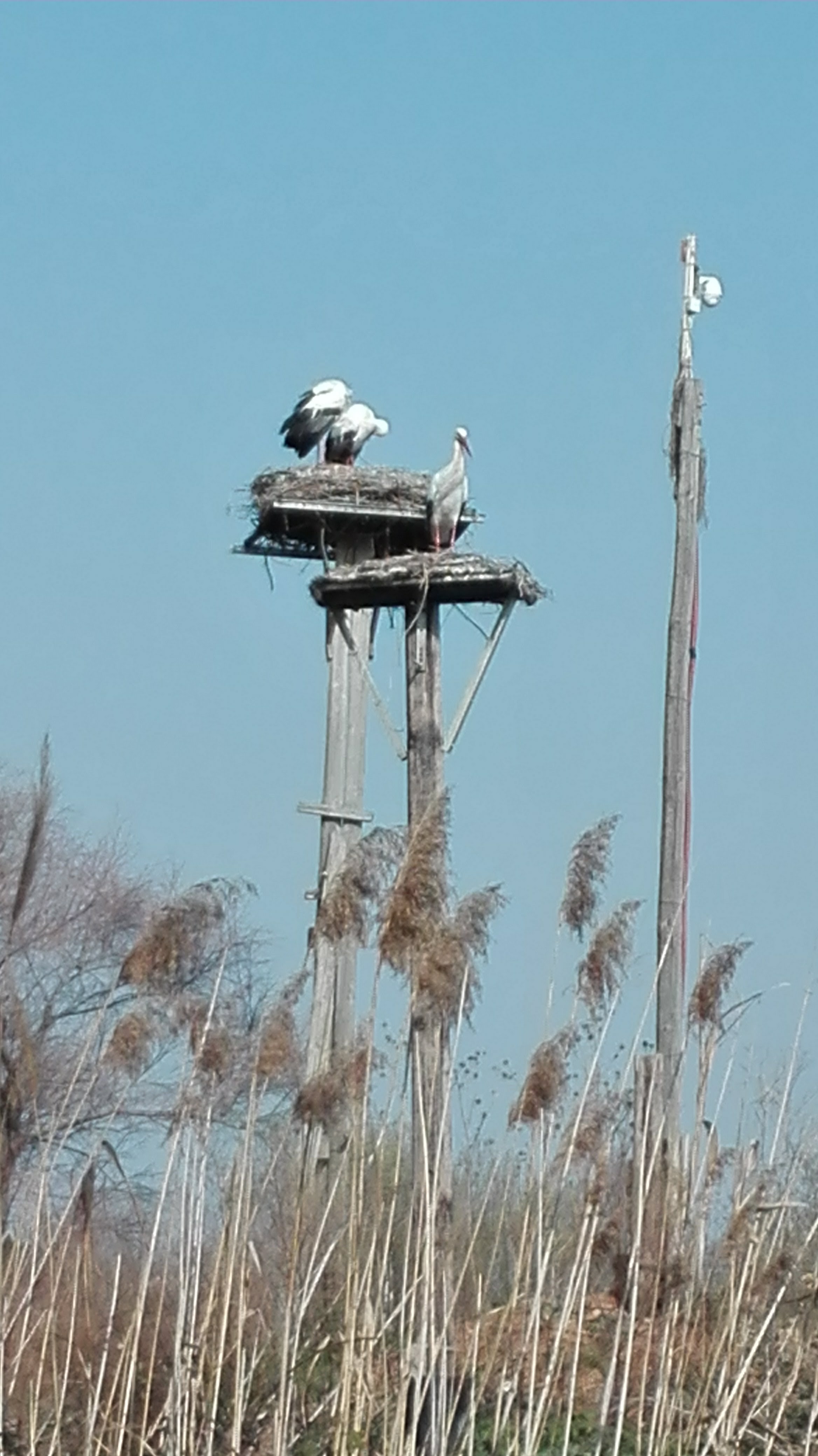 Photo n° 1 de l'avis de Marie.o fait le 04/03/2018 à 08:53