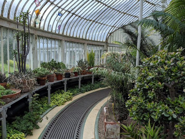 Botanic Gardens - Belfast