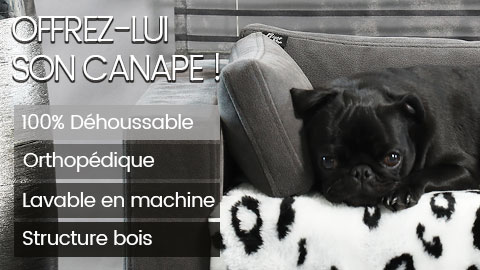 Magasin d'articles pour animaux Techniwear Epagny Metz-Tessy
