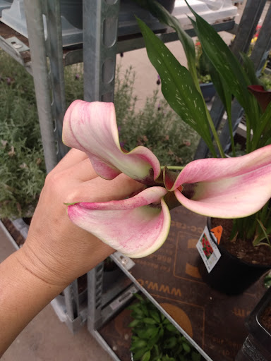 Home Improvement Store «The Home Depot», reviews and photos, 200 Altama Connector, Brunswick, GA 31520, USA