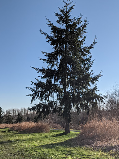 Golf Course «Willows Run Golf Complex», reviews and photos, 10402 Willows Rd, Redmond, WA 98052, USA