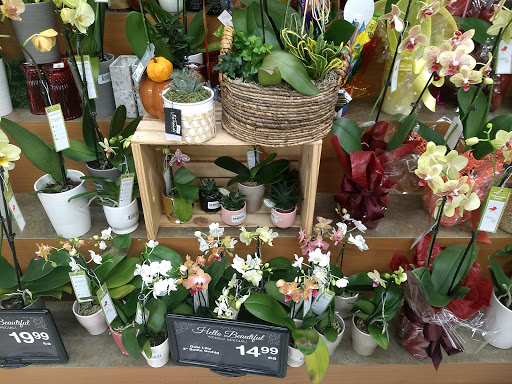 Grocery Store «Jewel-Osco», reviews and photos, 333 E Euclid Ave, Mt Prospect, IL 60056, USA