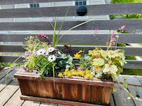 Sophia Design - Photo 9 - Car repair in Falmouth, ME, Portland