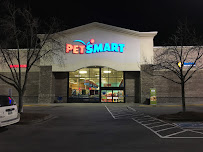 PetSmart - Photo 2 - Car repair in Knoxville, TN, Knoxville