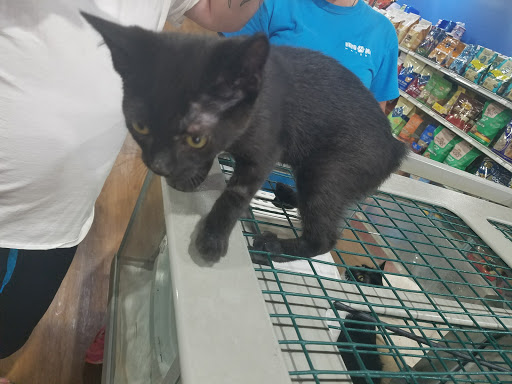 Pet Store «Pets Plus - Lansdale», reviews and photos, 555 S Broad St, Lansdale, PA 19446, USA