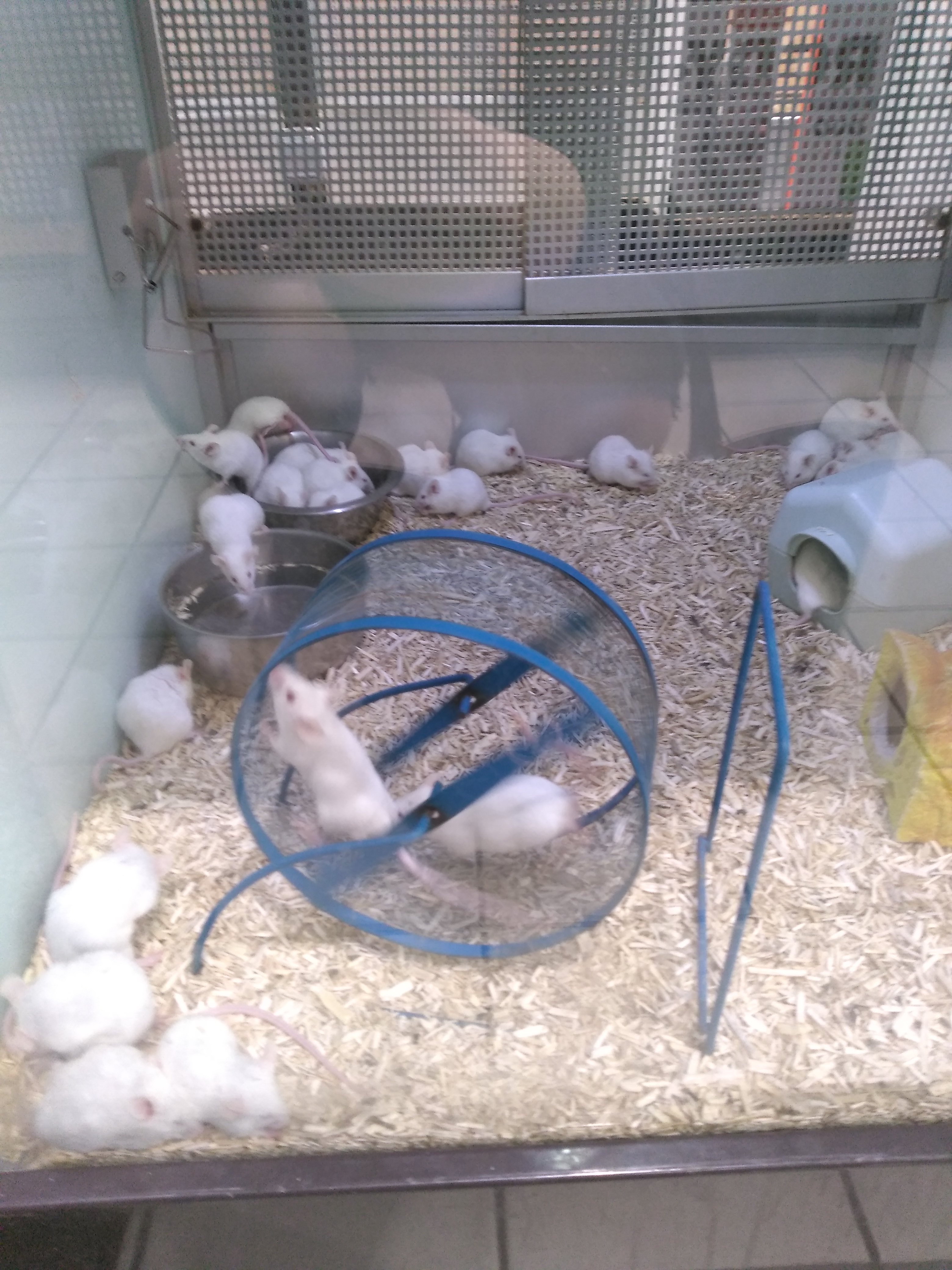 Photo n° 2 de l'avis de Cornélia.a fait le 06/11/2020 à 16:33