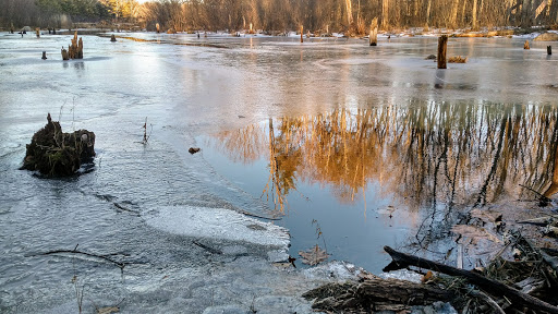 State Park «Lowell-Dracut-Tyngsborough State Forest», reviews and photos, Trotting Park Rd, Dracut, MA 01826, USA