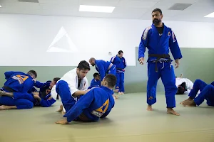 Gracie Gym Brazilian Jiu-Jitsu image
