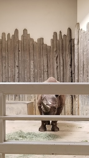 Zoo «Monkey Island», reviews and photos, 8 E 23rd Ave, Denver, CO 80205, USA