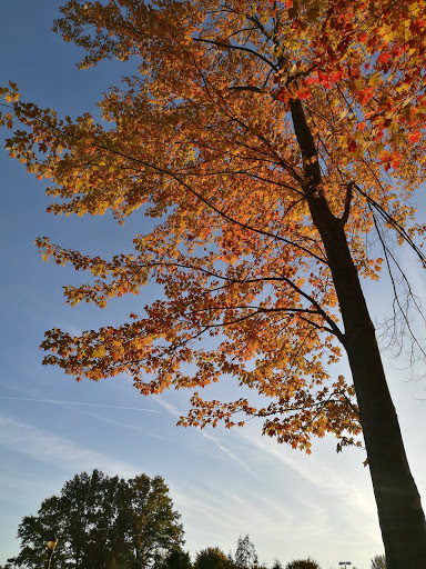 Community Center «Solon Community Center», reviews and photos, 35000 Portz Pkwy, Solon, OH 44139, USA