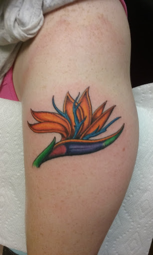 Tattoo Shop «Aces High Tattoo Shop», reviews and photos, 5946 Okeechobee Blvd, West Palm Beach, FL 33417, USA