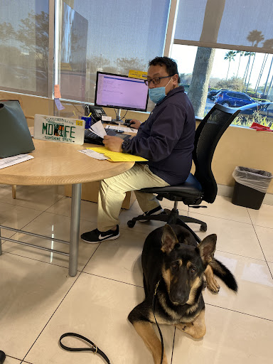 Used Car Dealer «CarMax», reviews and photos, 6375 S Semoran Blvd, Orlando, FL 32822, USA