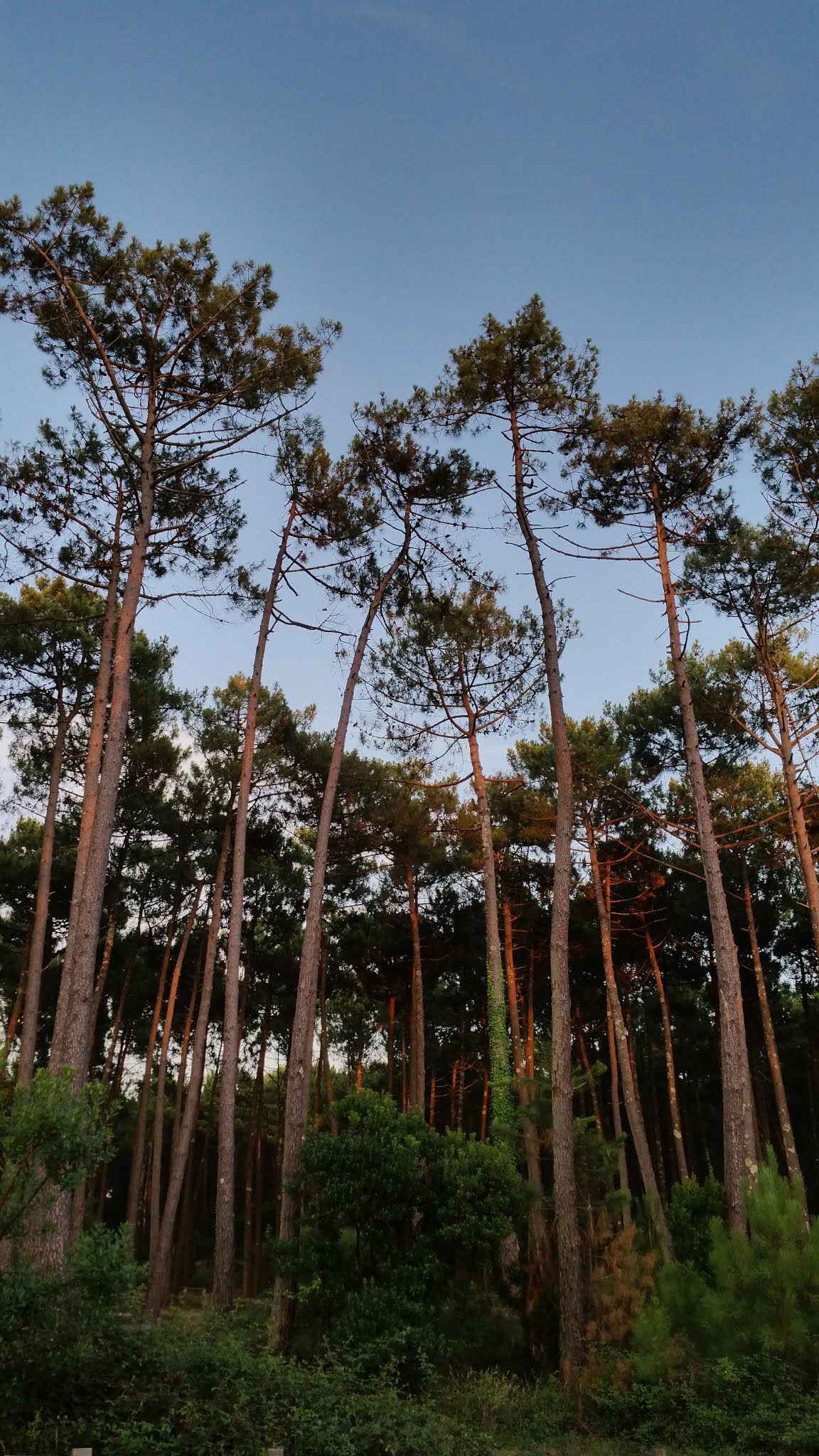 Photo n° 3 de l'avis de Jillis.r fait le 29/07/2018 à 20:21