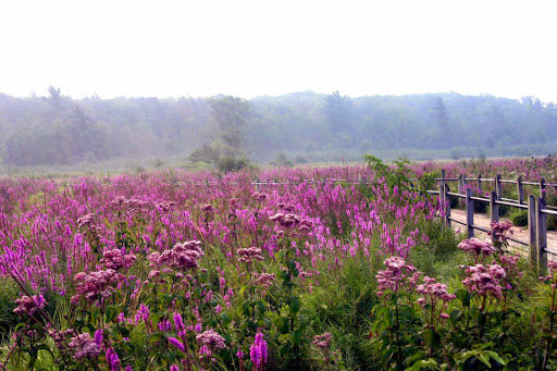 Used Car Dealer «Fields Volvo Cars Northfield», reviews and photos, 770 Frontage Rd, Northfield, IL 60093, USA