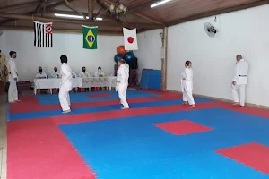 Ryu karate- Do Shotokan Avaré image