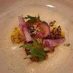 Photo n°2 de l'avis de J. fait le 27/02/2020 à 21:58 sur le  Haubentaucher à Rottach-Egern