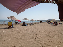 Doğanbey Sakız Ağacı Mevkii Halk Plajı'in fotoğrafı düz ve uzun ile birlikte