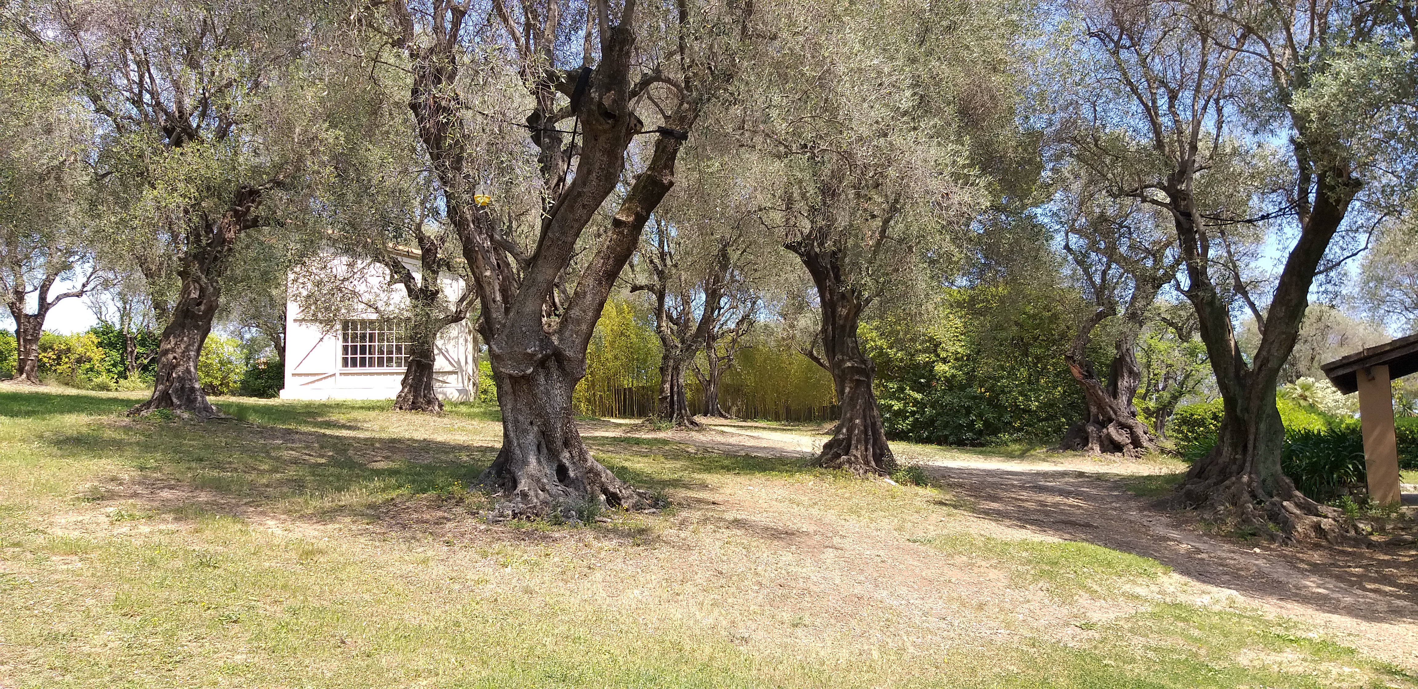 Photo n° 2 de l'avis de Marc.o fait le 14/05/2022 à 14:32